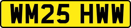 WM25HWW