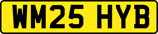 WM25HYB