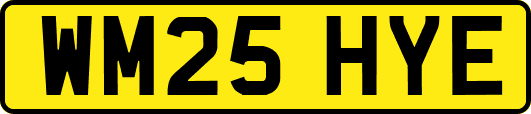 WM25HYE