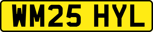 WM25HYL