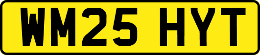 WM25HYT