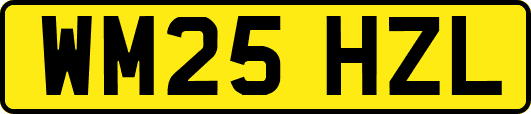 WM25HZL