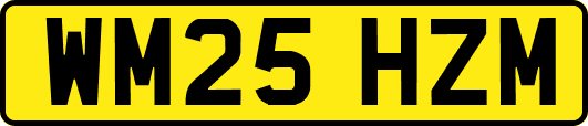 WM25HZM