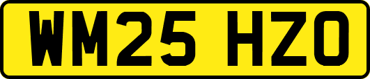 WM25HZO