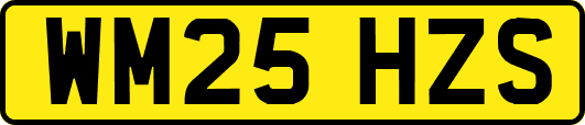 WM25HZS