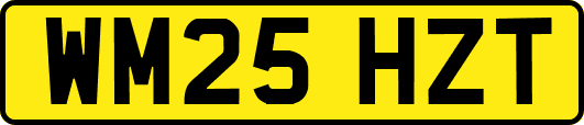 WM25HZT