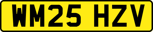 WM25HZV