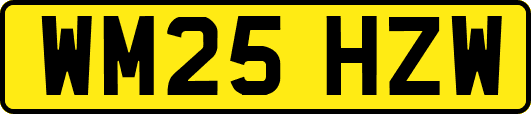 WM25HZW