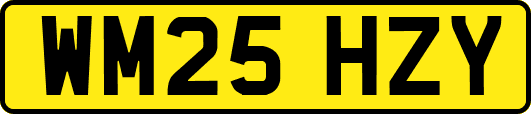 WM25HZY
