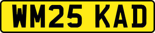 WM25KAD