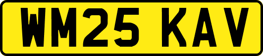 WM25KAV