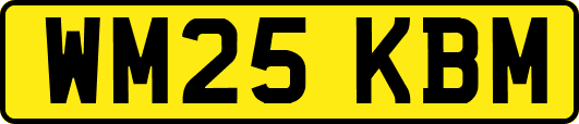 WM25KBM