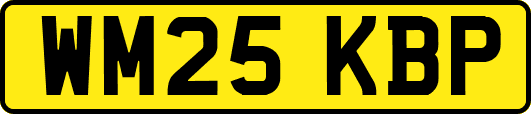 WM25KBP