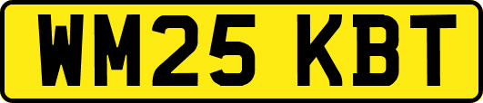 WM25KBT