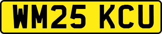 WM25KCU