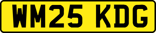 WM25KDG