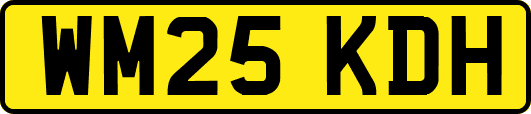 WM25KDH