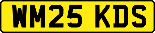 WM25KDS