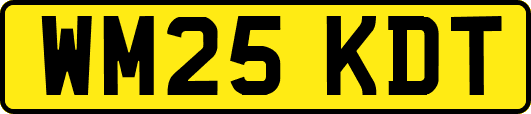 WM25KDT