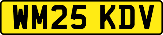 WM25KDV