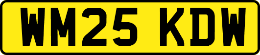 WM25KDW