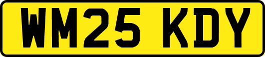 WM25KDY