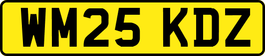 WM25KDZ