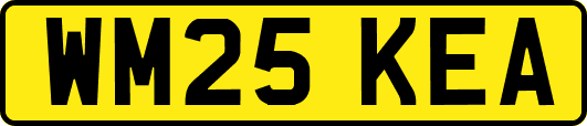 WM25KEA