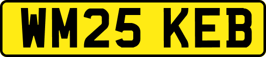 WM25KEB