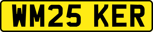 WM25KER