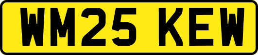 WM25KEW