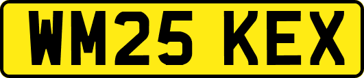 WM25KEX