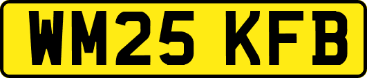 WM25KFB