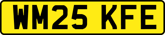 WM25KFE