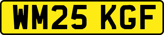 WM25KGF