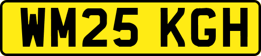 WM25KGH