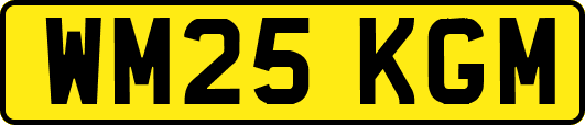 WM25KGM