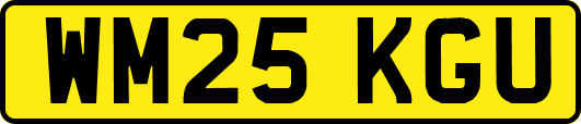 WM25KGU