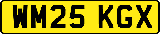 WM25KGX