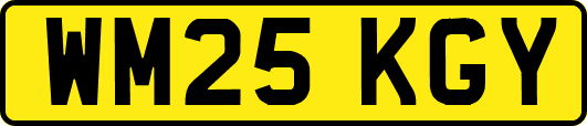 WM25KGY