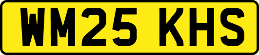 WM25KHS