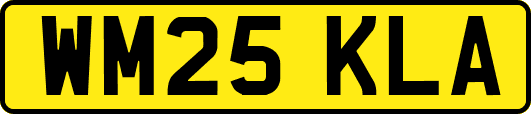 WM25KLA