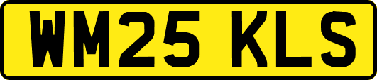 WM25KLS
