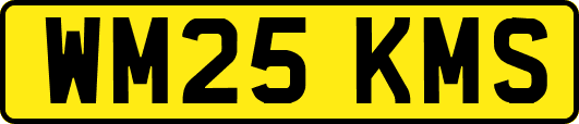 WM25KMS