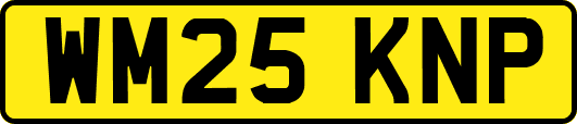 WM25KNP
