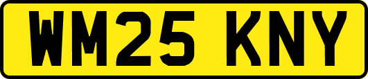WM25KNY
