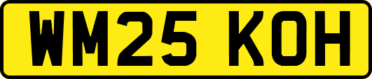 WM25KOH