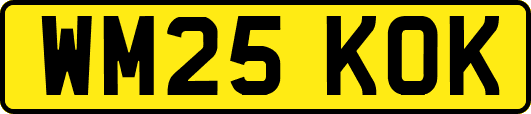 WM25KOK