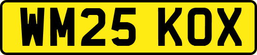 WM25KOX
