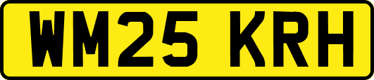 WM25KRH